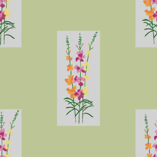 Snapdragons gift wrap