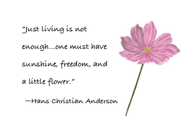 Cosmos everyday card